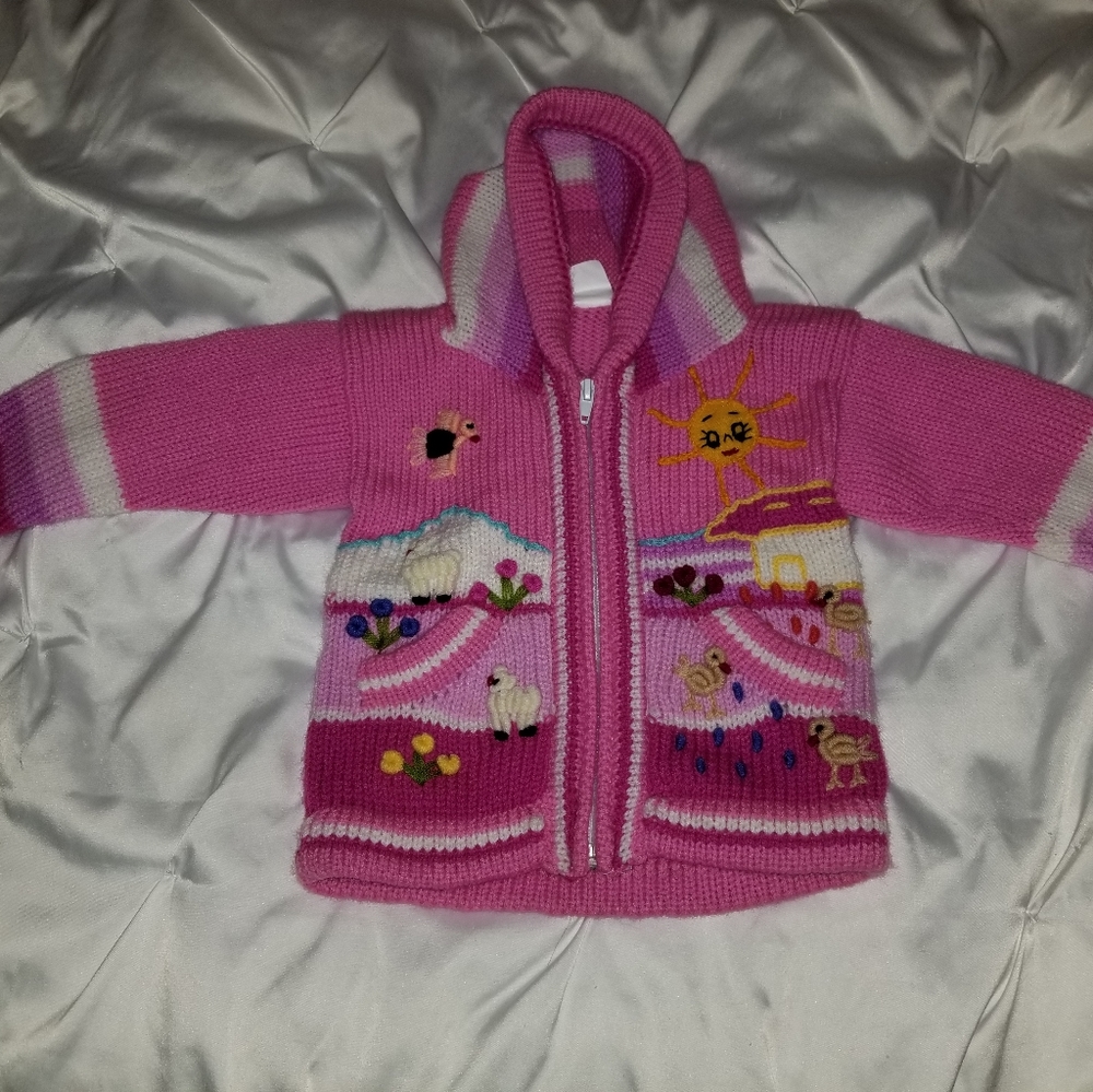 NWOT Adorable Embroidered Baby Sweater